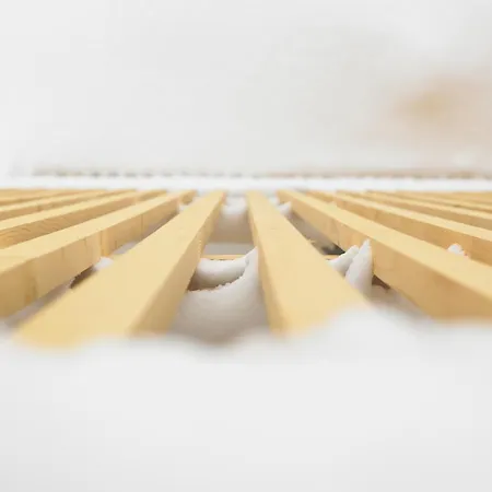 Arlberg Alojamento de Turismo Selvagem Stuben am Arlberg