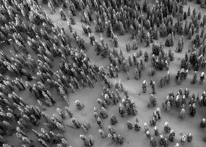 أكواخ أرلبيرج بيت خشبي